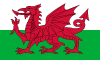Cymraeg flag