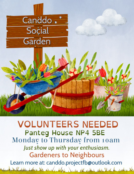 Volunteer with us - Social Garden at Panteg House.