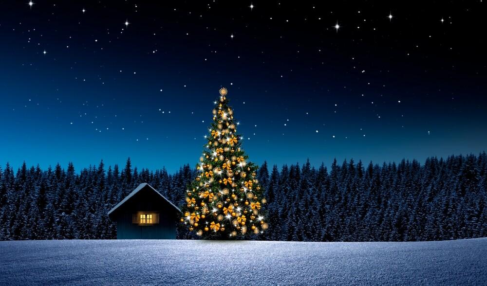 Christmas Concert
Saturday, 13 December 2025
Time:  7.00 pm 
Griffithstown Congregational Church